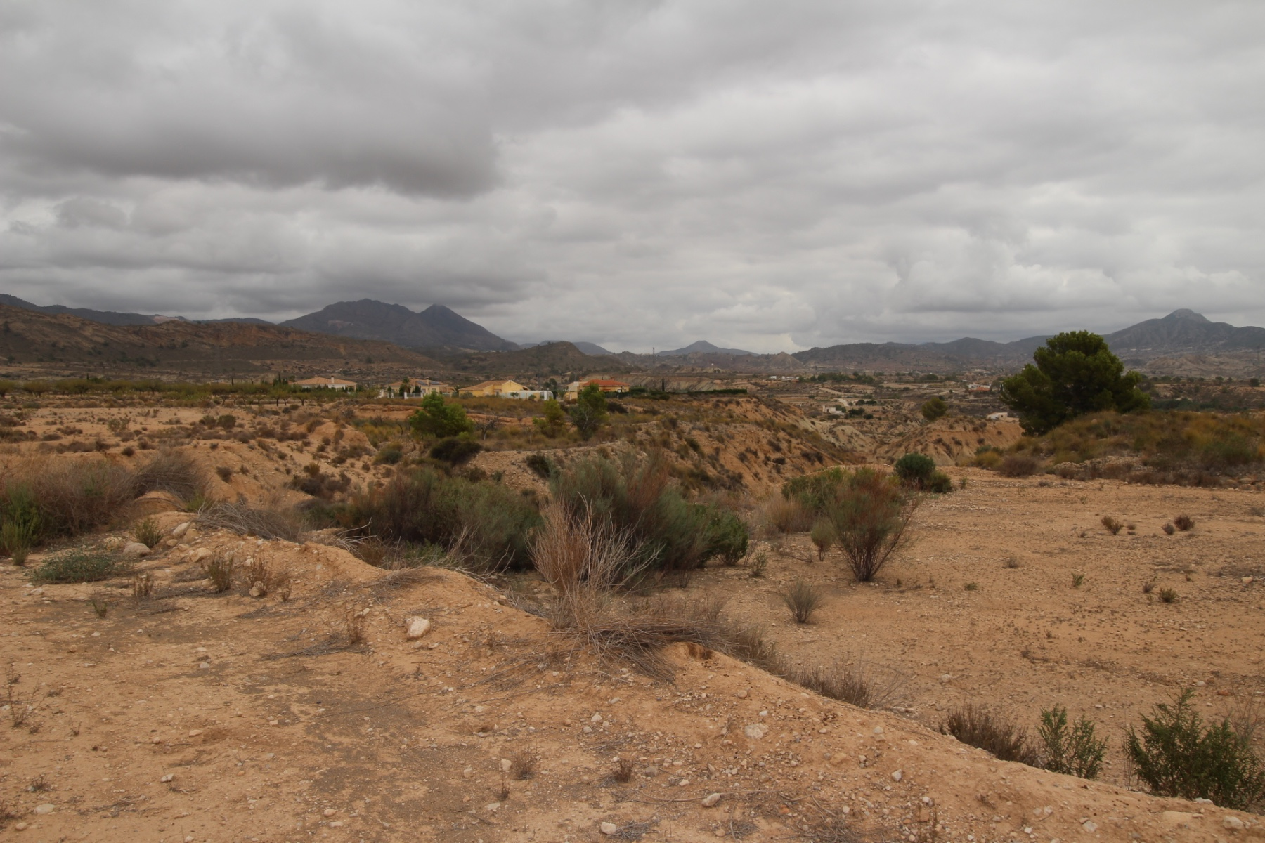 Land In Abanilla, Spain (5.000 M² Plot)