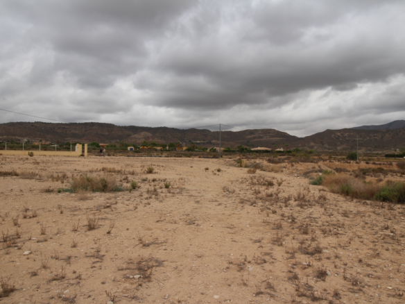 Land In Abanilla, Spain (5.000 M² Plot)