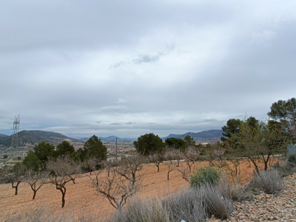 4-bedroom Detached Villa In La Romana, Spain (226 M²)