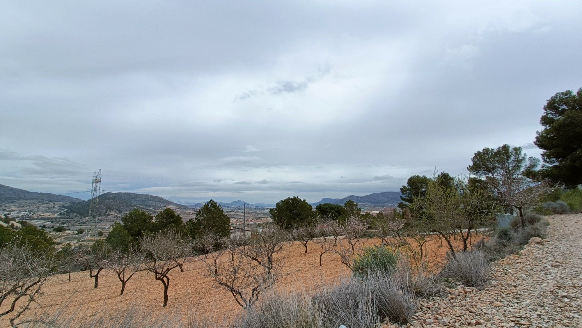 4-bedroom Detached Villa In La Romana, Spain (226 M²)