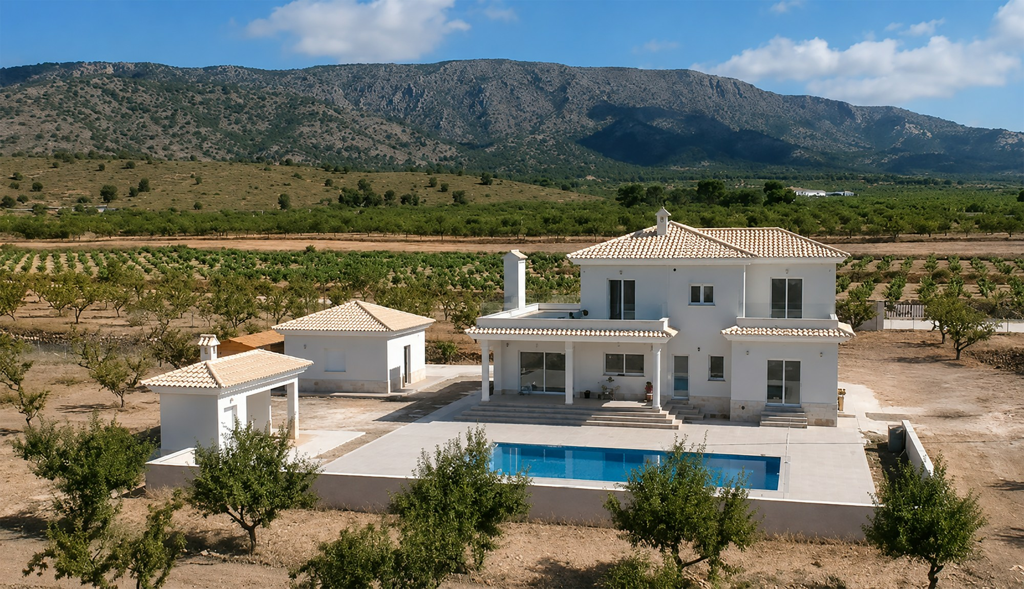 4-bedroom Detached Villa In Pinoso, Spain (220 M²)
