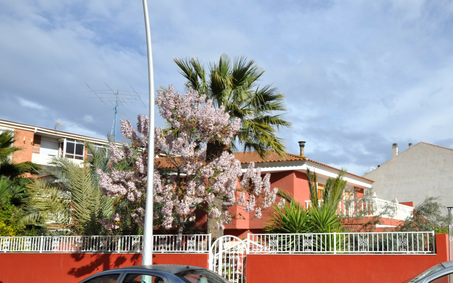 4-bedroom Detached Villa In Sax, Spain (318 M²)