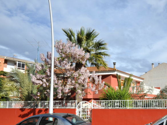 4-bedroom Detached Villa In Sax, Spain (318 M²)