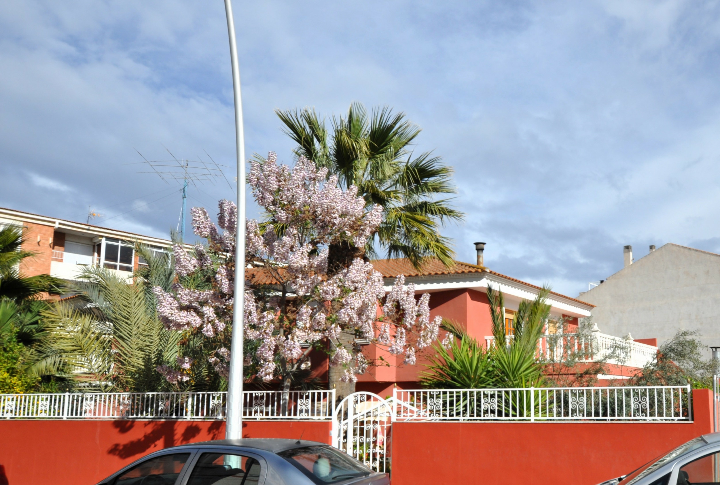 property_attachment_1rcjvvs5ib_20240402082039-ace23f 4-bedroom Detached Villa In Sax, Spain (318 M²)