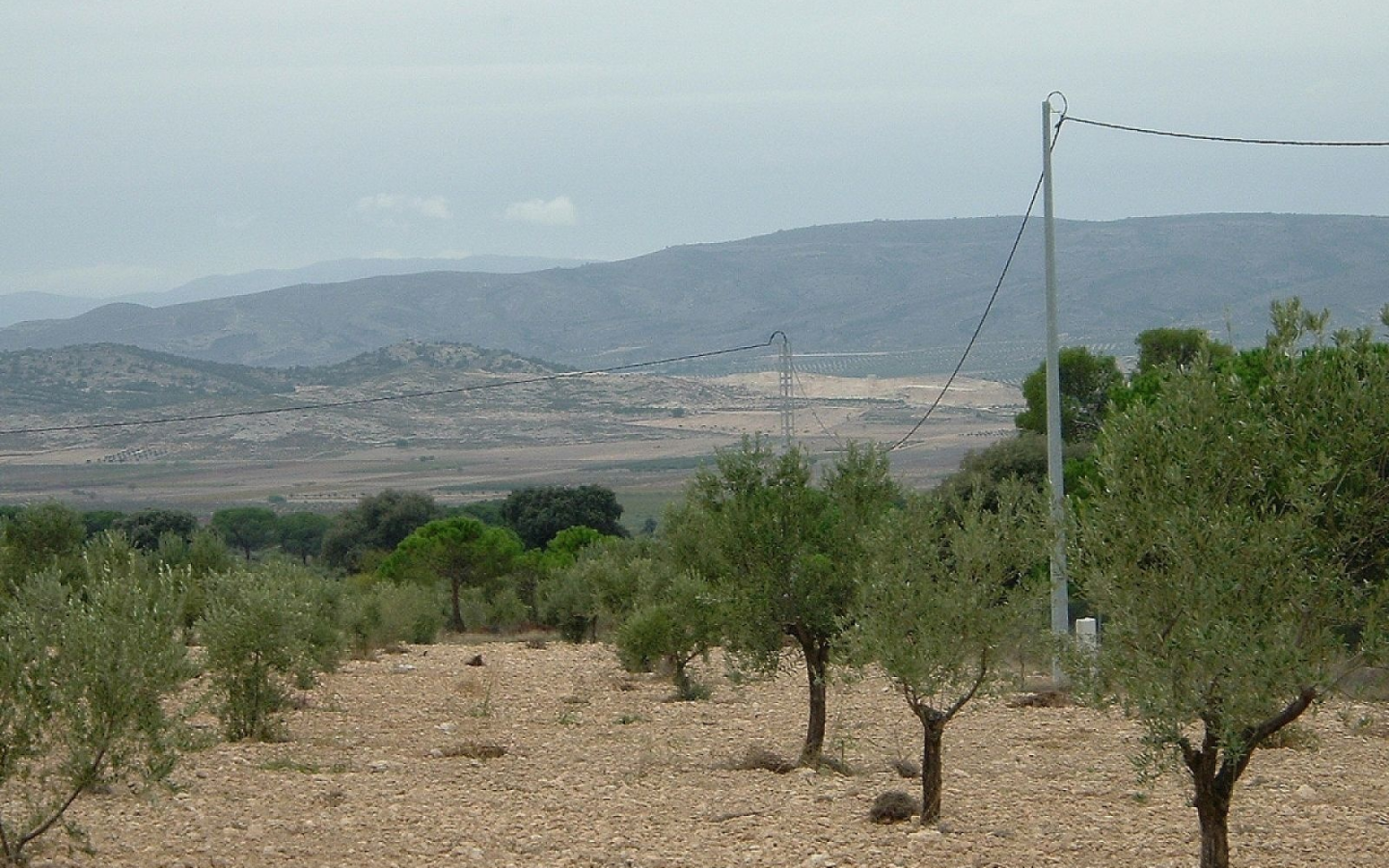 Land In Biar, Spain (25.000 M² Plot)