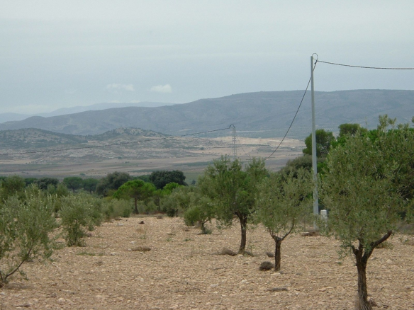 Land In Biar, Spain (25.000 M² Plot)