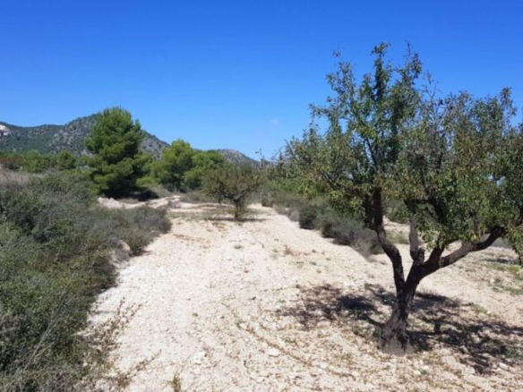 Land In Monovar, Spain (21 M²)