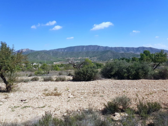 Land In Monovar, Spain (21 M²)