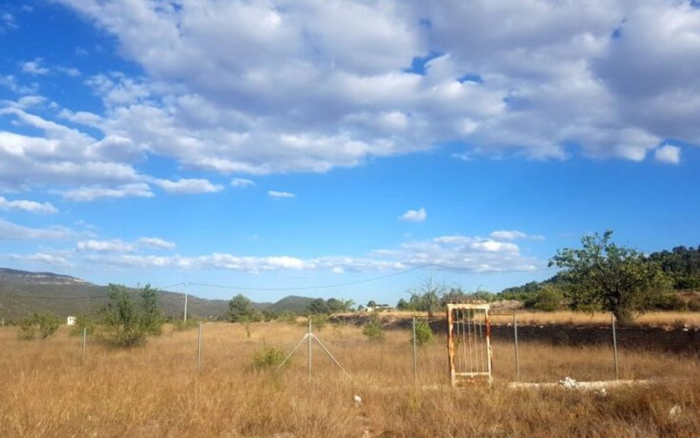 Land In Monovar, Spain (11.000 M²)