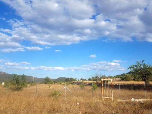 Land In Monovar, Spain (11.000 M²)