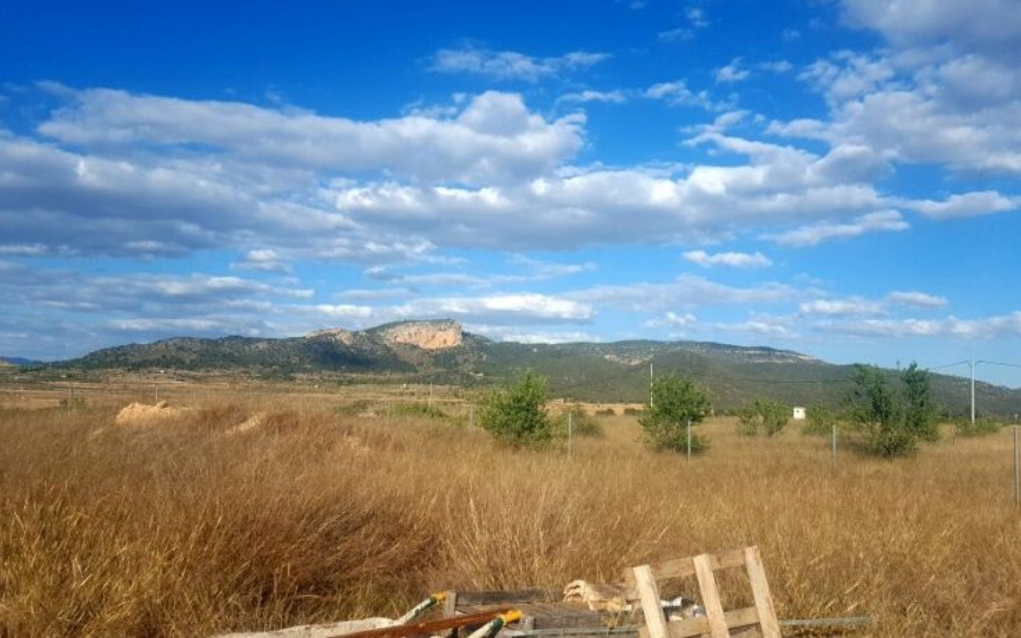 Land In Monovar, Spain (11.000 M²)