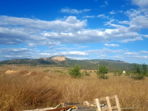 Land In Monovar, Spain (11.000 M²)