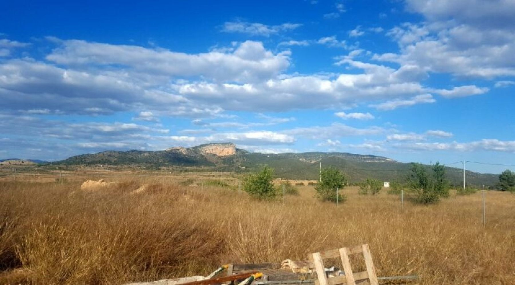 w_193256-1-830×460-067e52 Land In Monovar, Spain (11.000 M²)