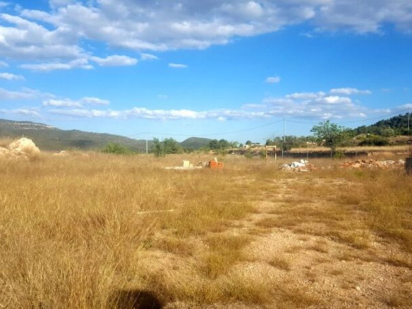 Land In Monovar, Spain (11.000 M²)