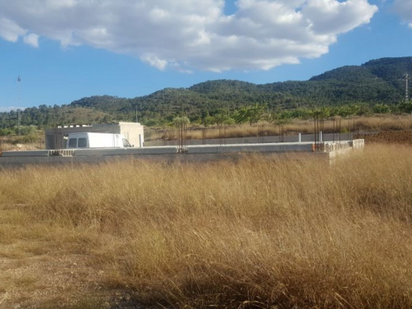 Land In Monovar, Spain (11.000 M²)