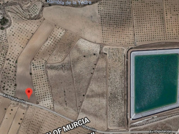 Land In Pinoso, Spain (13.200 M² Plot)