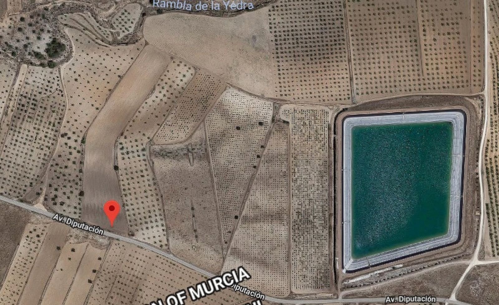 Land In Pinoso, Spain (13.200 M² Plot)