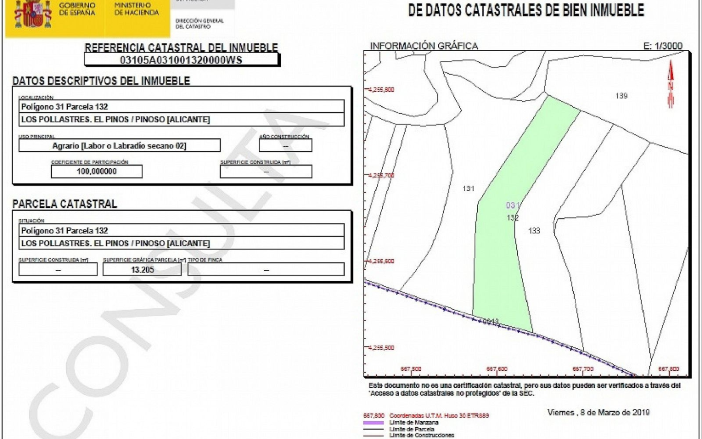 Land In Pinoso, Spain (13.200 M² Plot)