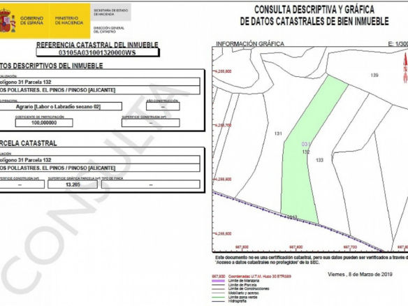 Land In Pinoso, Spain (13.200 M² Plot)