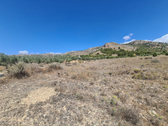 Land In Sax, Spain (16.200 M² Plot)
