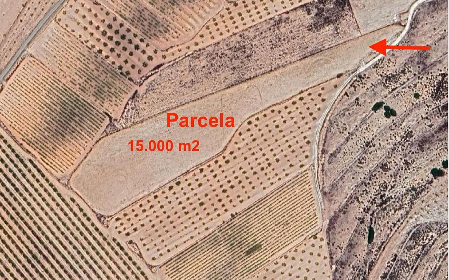 Land In Pinoso, Spain (15.000 M²)