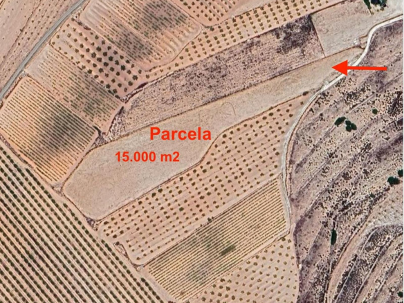 Land In Pinoso, Spain (15.000 M²)