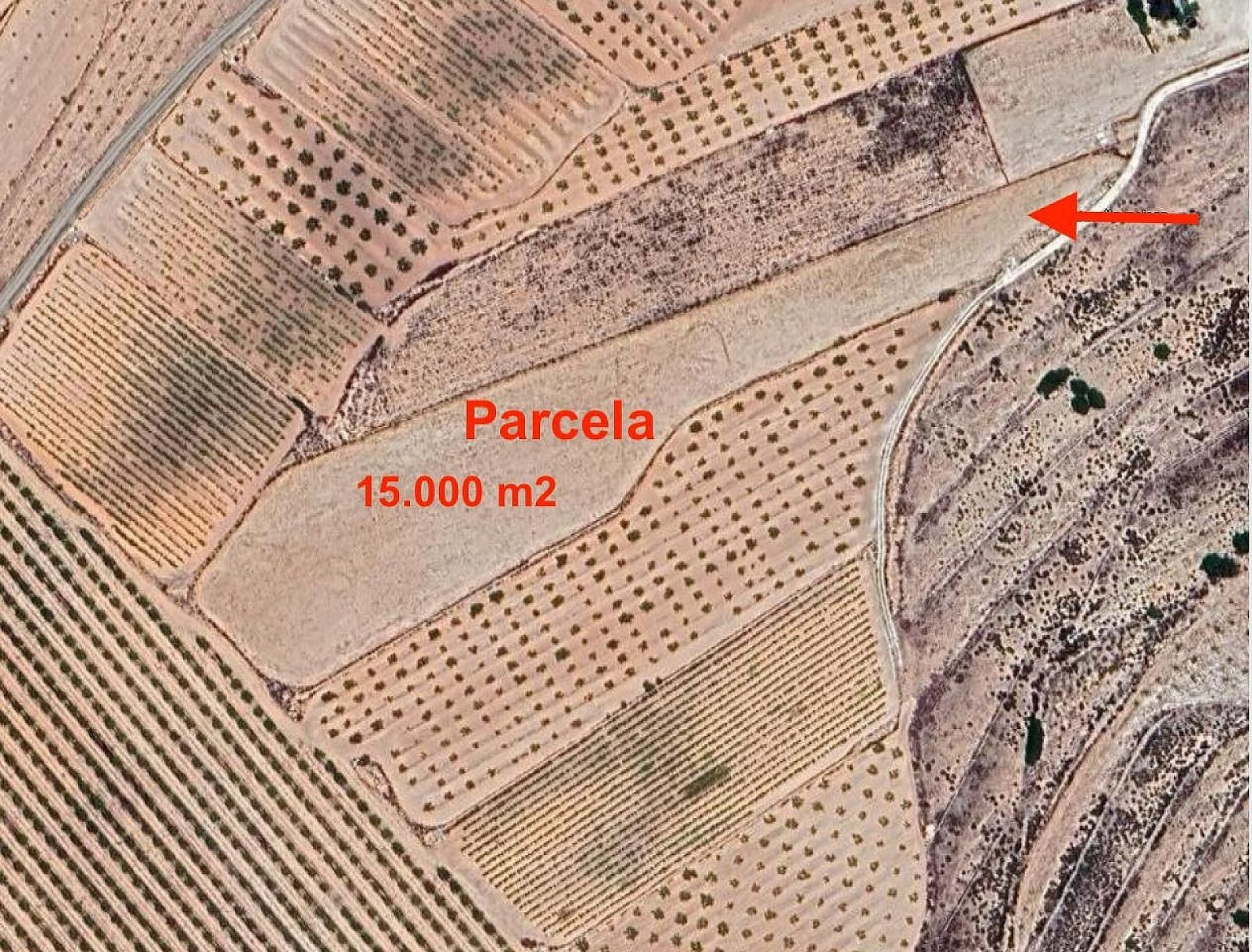 w_4vmsqdc4etzrtiiw4boe-c14e6a Land In Pinoso, Spain (15.000 M²)