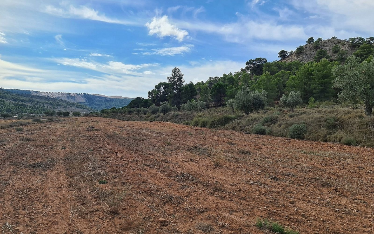 Land In Pinoso, Spain (20.343 M² Plot)