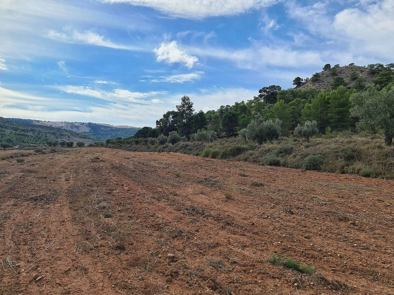 w_6tikzg2m4c5qxftkwu08-18b3b5 Land In Pinoso, Spain (20.343 M² Plot)