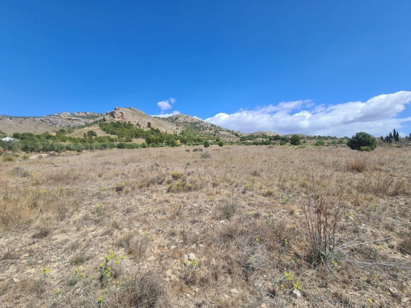 Land In Sax, Spain (16.200 M² Plot)