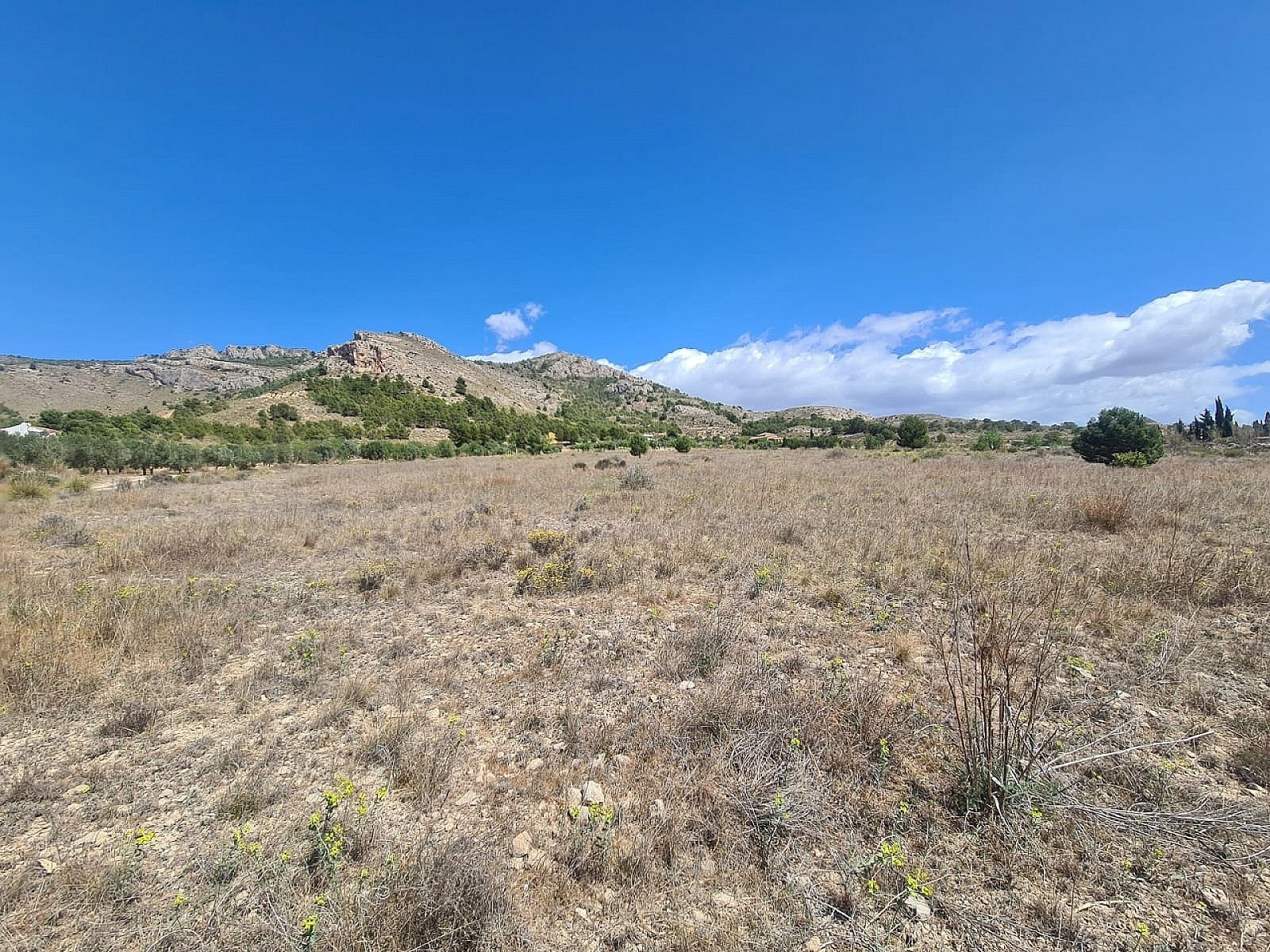w_8fvsfk53yr6t7byym47j-fd394f Land In Sax, Spain (16.200 M² Plot)