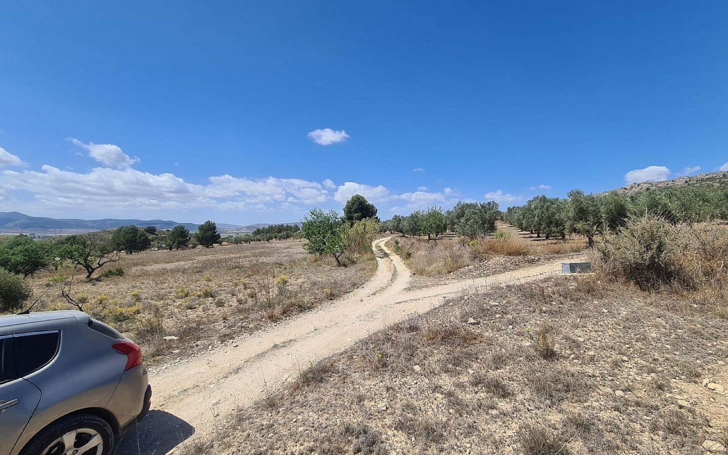 Land In Sax, Spain (16.200 M² Plot)