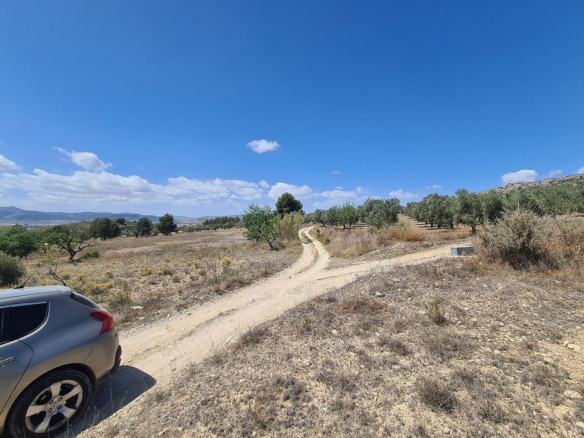 Land In Sax, Spain (16.200 M² Plot)