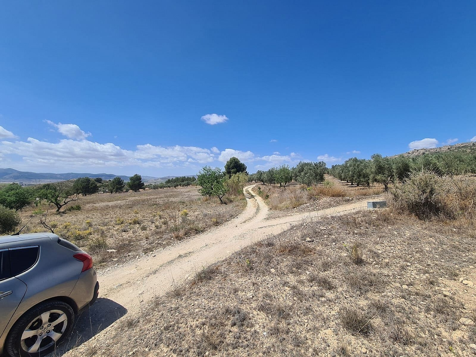 w_8ycjnzvf4jfcx47sr50k-df6410 Land In Sax, Spain (16.200 M² Plot)