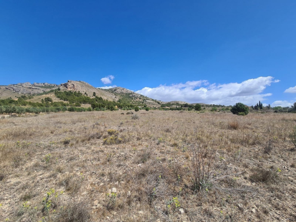 Land In Sax, Spain (16.200 M² Plot)