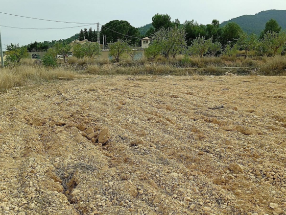 Land In Monovar, Spain (24.047 M² Plot)