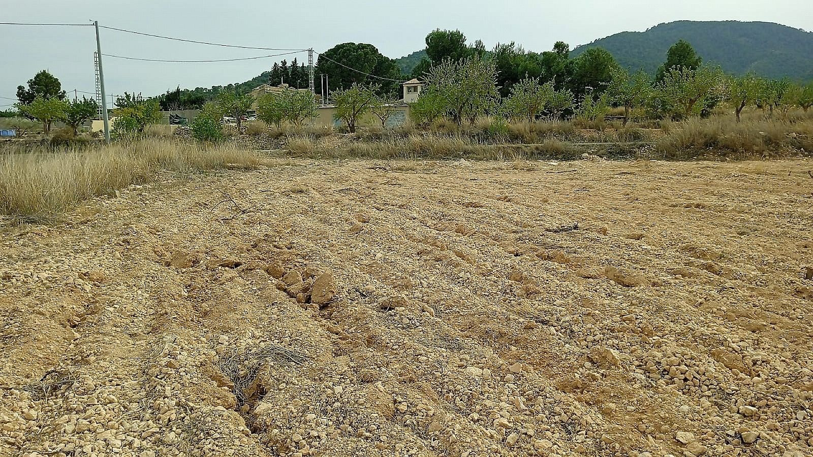 Land In Monovar, Spain (24.047 M² Plot)