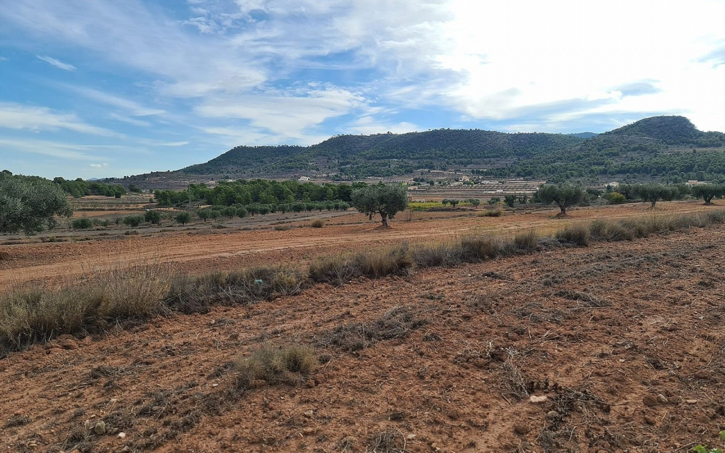 Land In Pinoso, Spain (20.343 M² Plot)