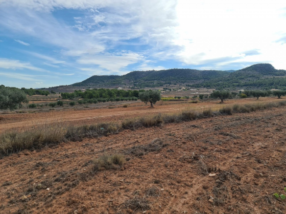 Land In Pinoso, Spain (20.343 M² Plot)