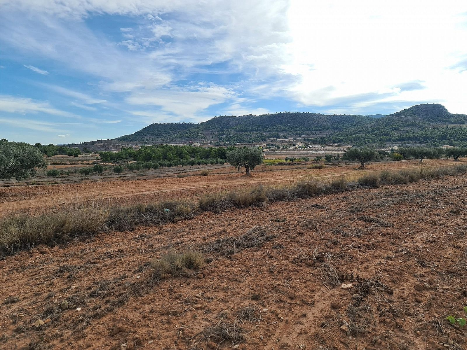 w_bwf4ok2h4gcdb082xfy5-6d7200 Land In Pinoso, Spain (20.343 M² Plot)