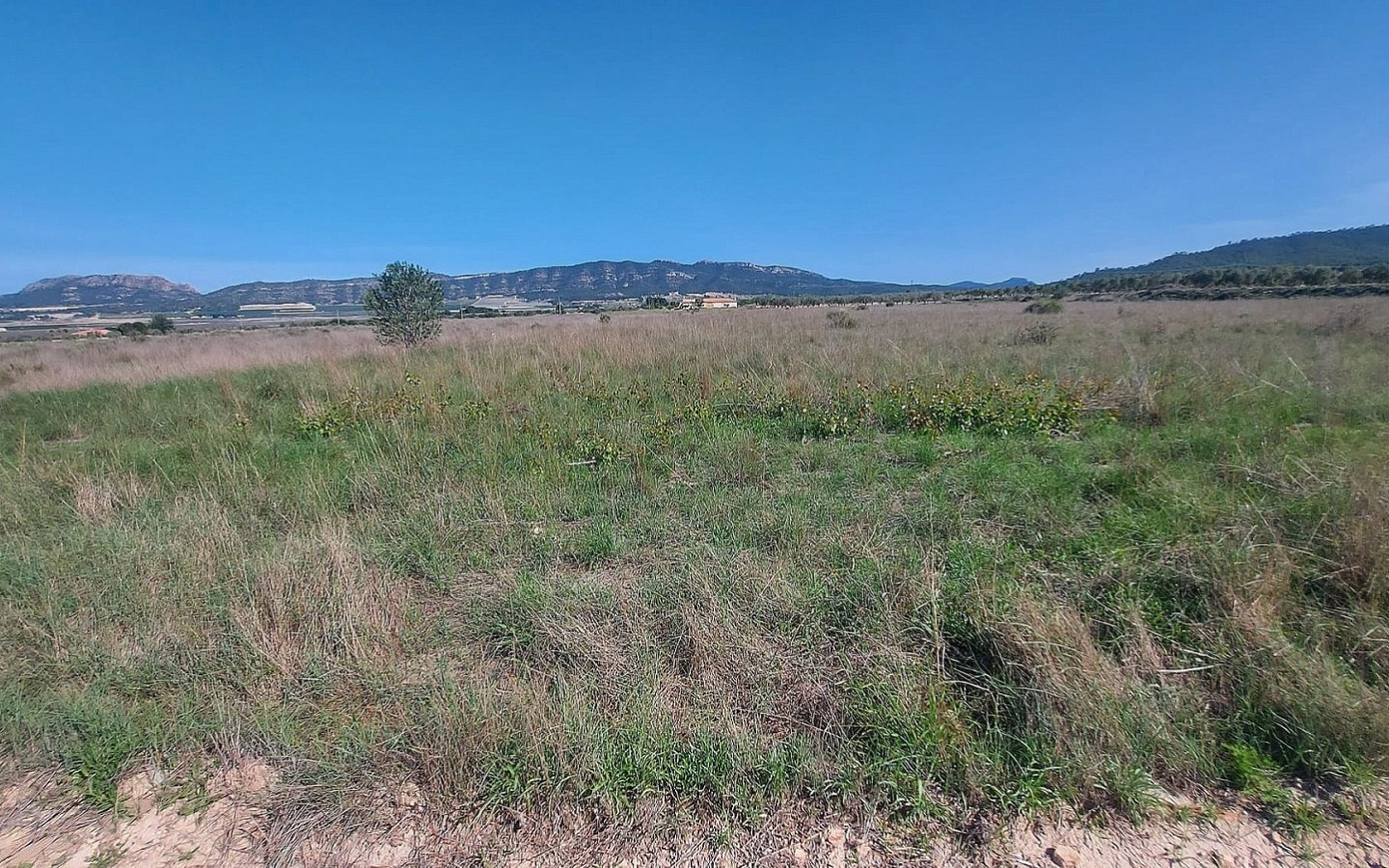 Land In Salinas, Spain (14.720 M² Plot)