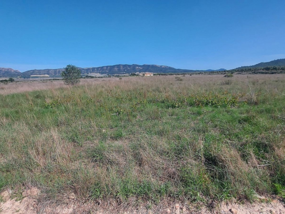 Land In Salinas, Spain (14.720 M² Plot)