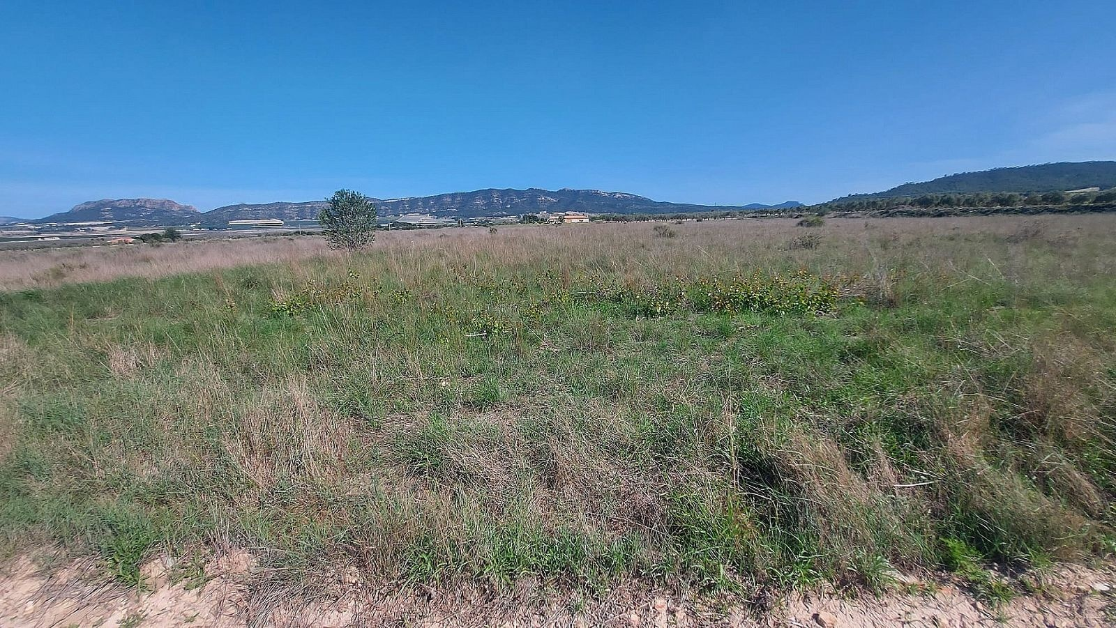 w_c44ex4fm33yevba7wr6k-74e7df Land In Salinas, Spain (14.720 M² Plot)