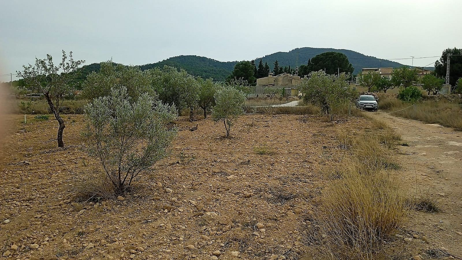 w_cq6r2eaj86ao5ty32uzz-2a9243 Land In Monovar, Spain (15.128 M² Plot)