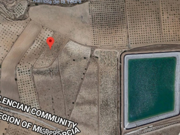 Land In Pinoso, Spain (6.250 M² Plot)