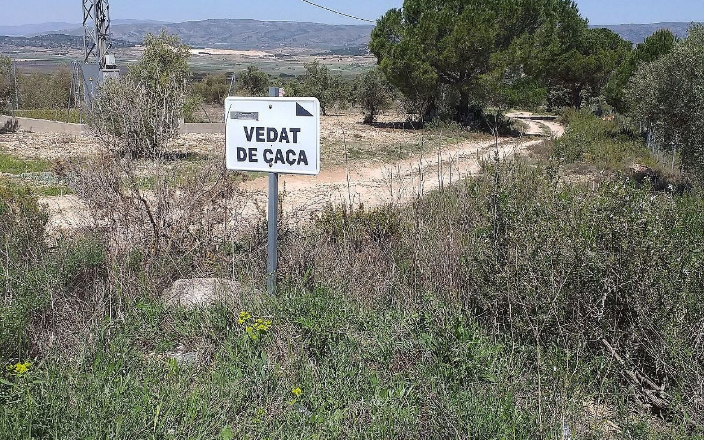 Land In Biar, Spain (25.000 M² Plot)