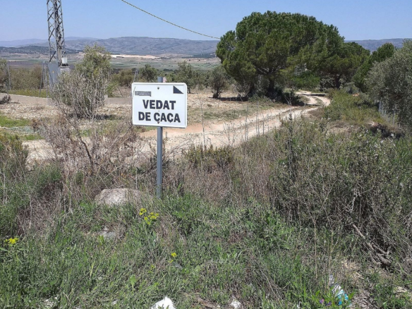 Land In Biar, Spain (25.000 M² Plot)