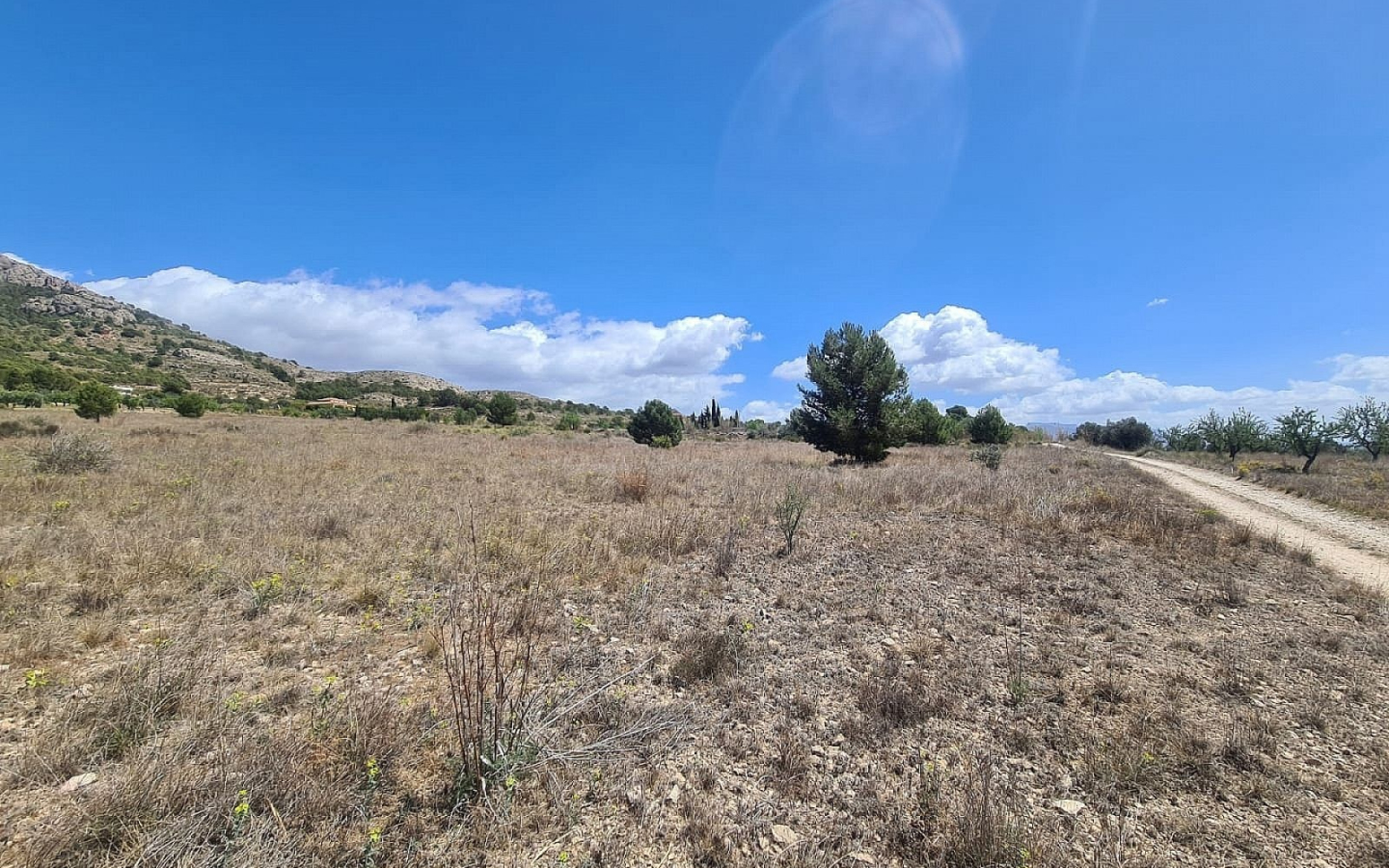 Land In Sax, Spain (16.200 M² Plot)