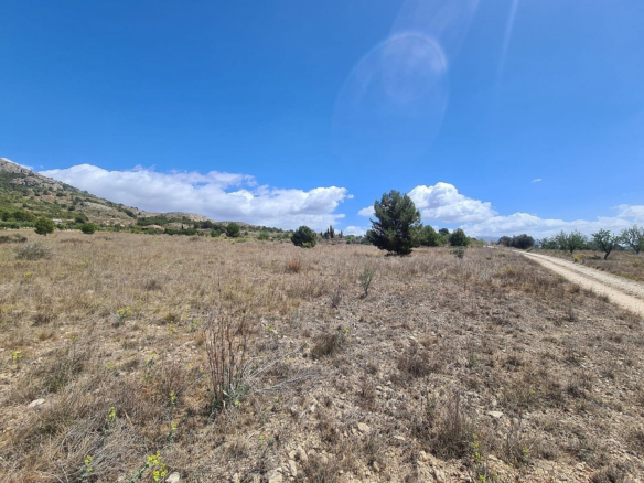 Land In Sax, Spain (16.200 M² Plot)