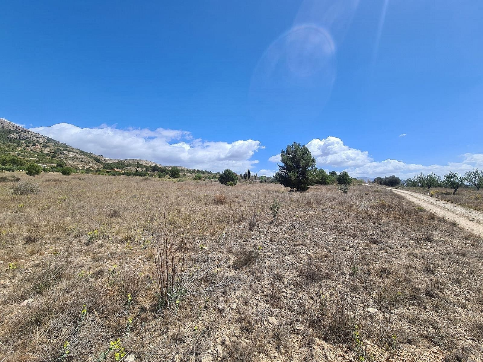 w_epgzndj44nq8i5rpzy00-3cbf0f Land In Sax, Spain (16.200 M² Plot)